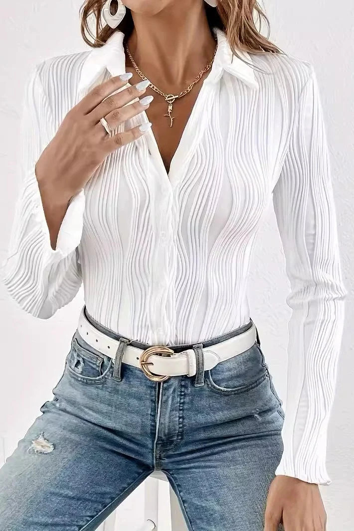 Solid Textured Slim Versatile Stylish Long Sleeve Blouse